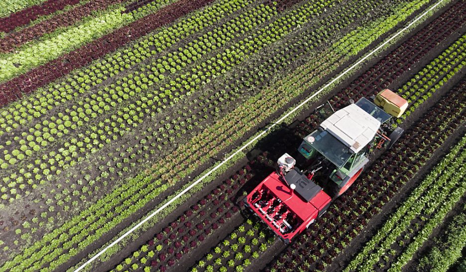 Trop de nitrates dans les eaux souterraines