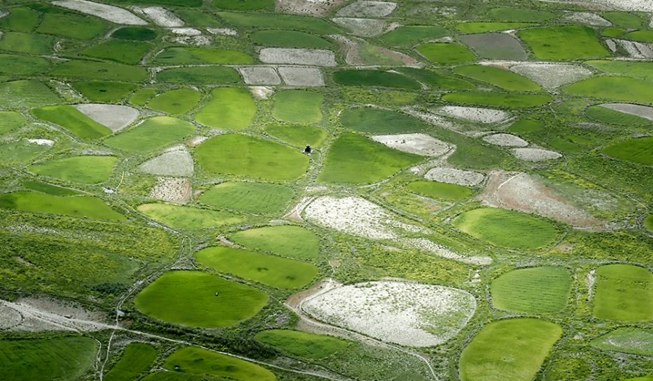 22 juillet, village de Stongday. Grâce au labeur des villageois, le miracle agricole s’accomplit: du sol caillouteux et poussiéreux naissent des champs verdoyants. YCD