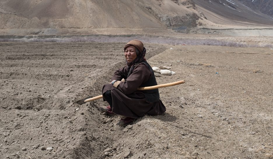 Vendredi 19 avril, village de Tsazar. La sœur de mon ami Passang fait une pause. Quand il aura fini de labourer leur champ avec ses deux yaks, elle cassera les mottes de terre à l’aide de son sarcloir, dont le manche est en peuplier et la lame en corne de bouquetin. YCD