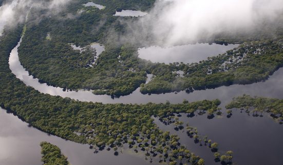 Luxuriance amazonienne