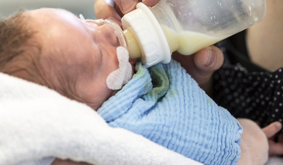 Le bisphénol A est bien un perturbateur endocrinien