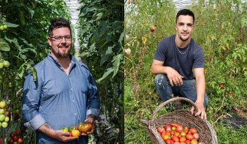 Les faiseurs de tomates