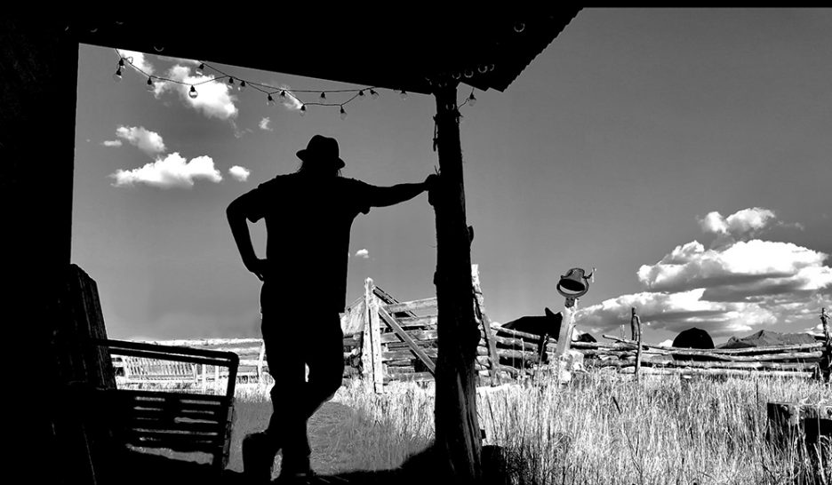 Coup de blues pour la nature