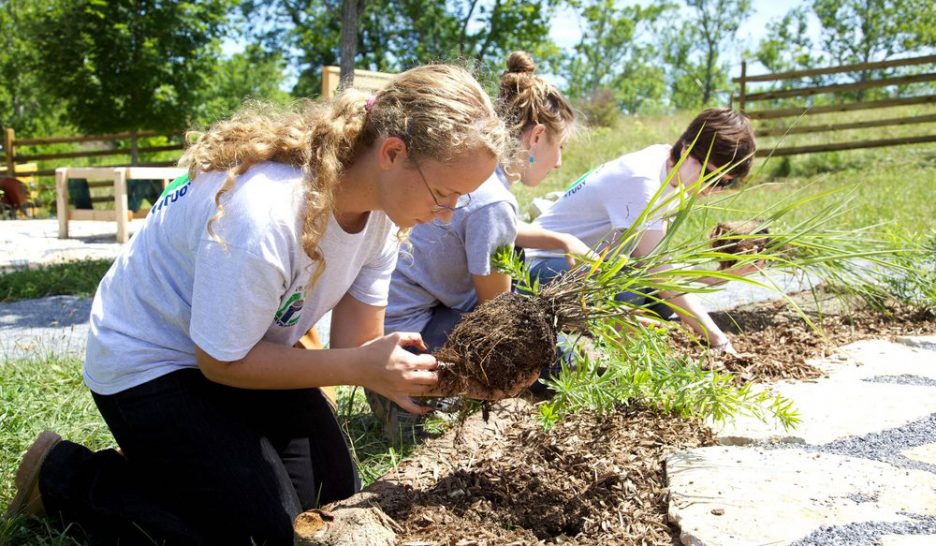 Huit idées citoyennes retenues