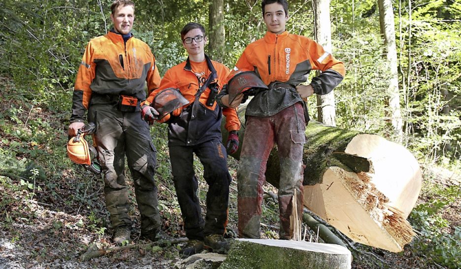 La forêt s’essouffle