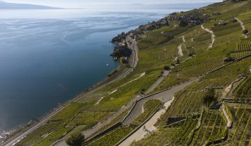 Lavaux à nouveau sous tension