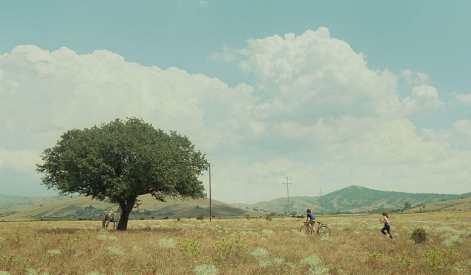 Le livre et le regard