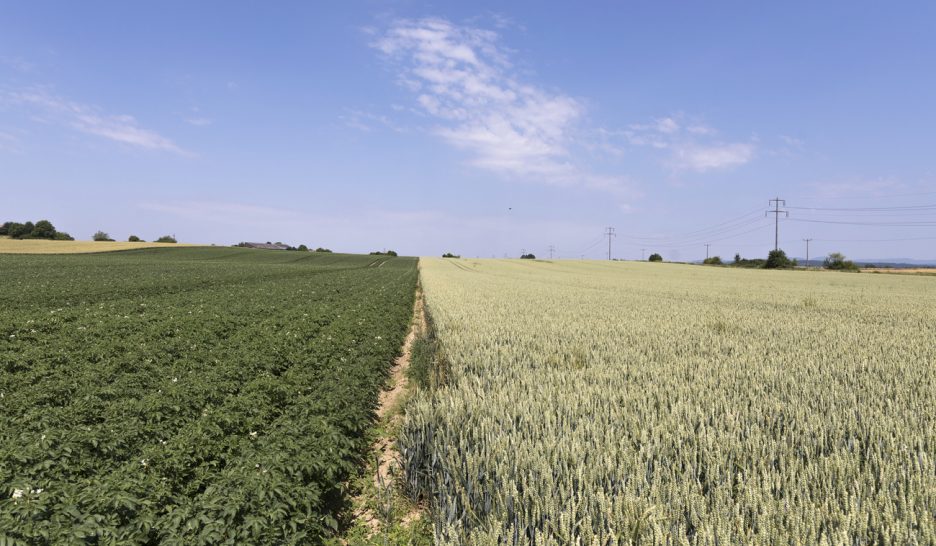 Les sols peuvent piéger le carbone