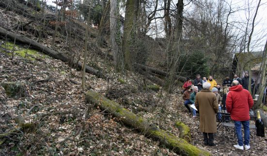 Pas de route, forêt préservée 1