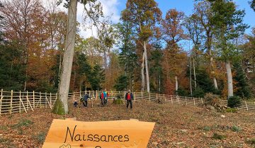 Un arbre pour chaque enfant