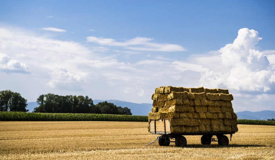 Soigner les sols pour réduire le CO2