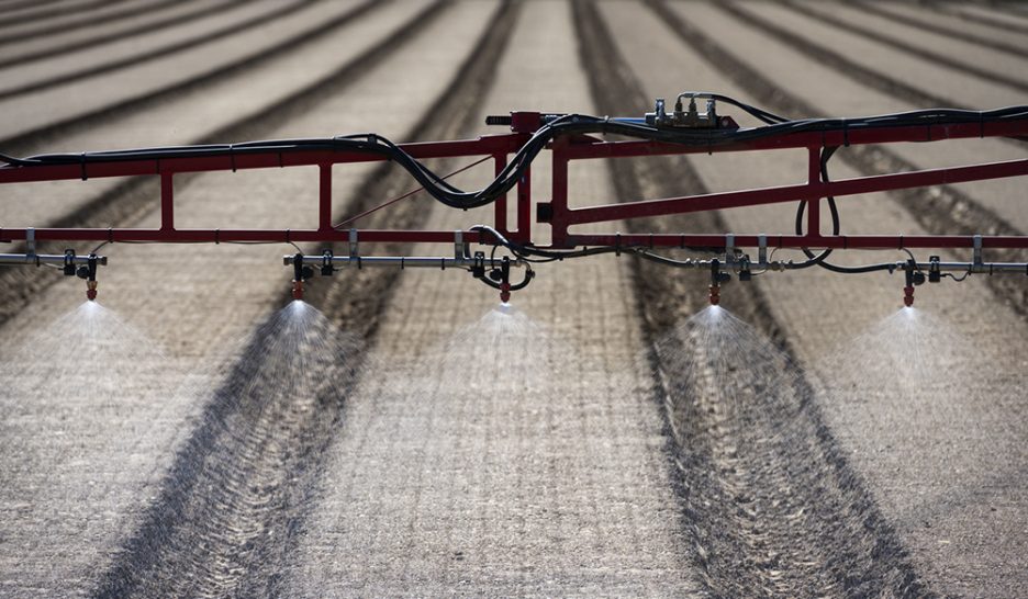 Interdiction «bienvenue» du fongicide 1