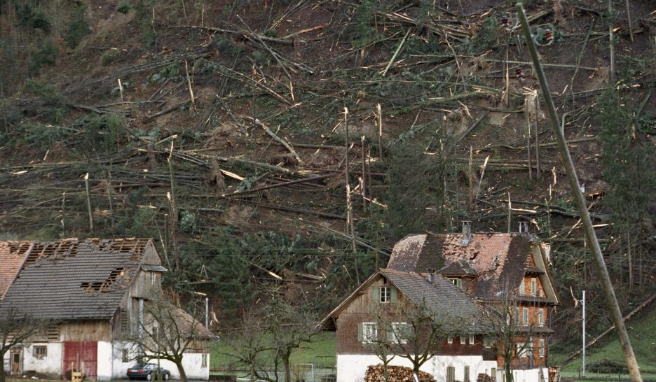 La forêt plus résistante vingt ans après Lothar