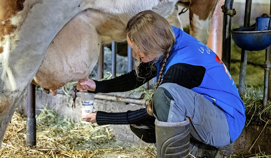 Le lait qui requinque les paysans