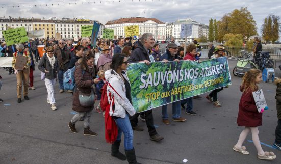 Un arbre coupé, trois replantés