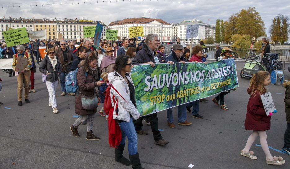Un arbre coupé, trois replantés