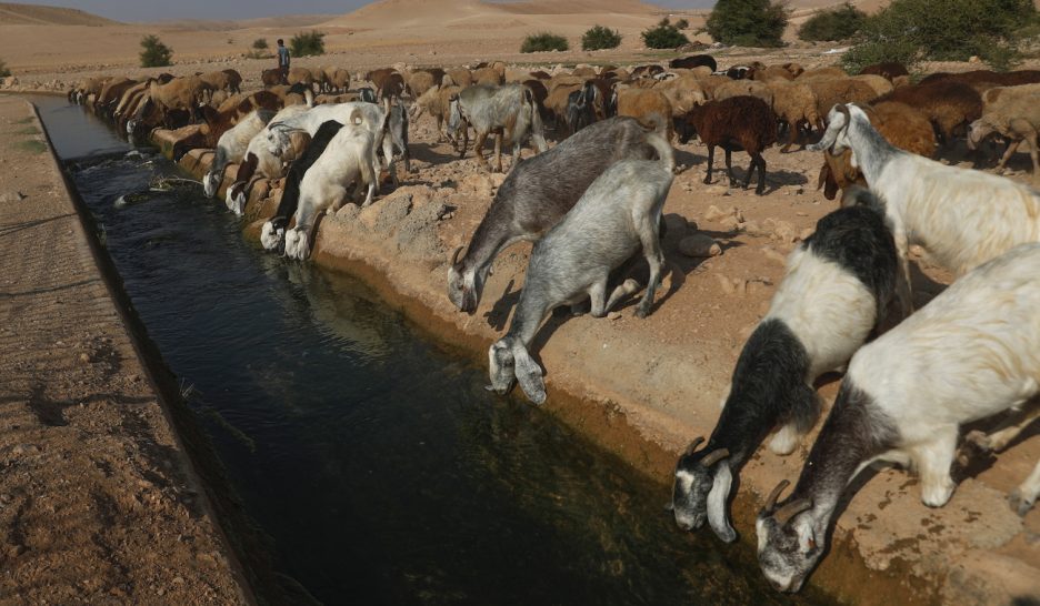 Détruire la terre pour chasser un peuple