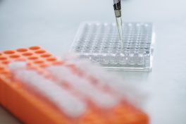 Du genre dans les molécules