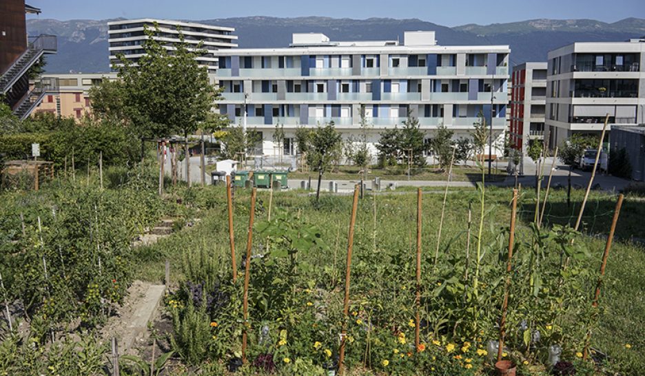 Formule magique verte-rose-orange