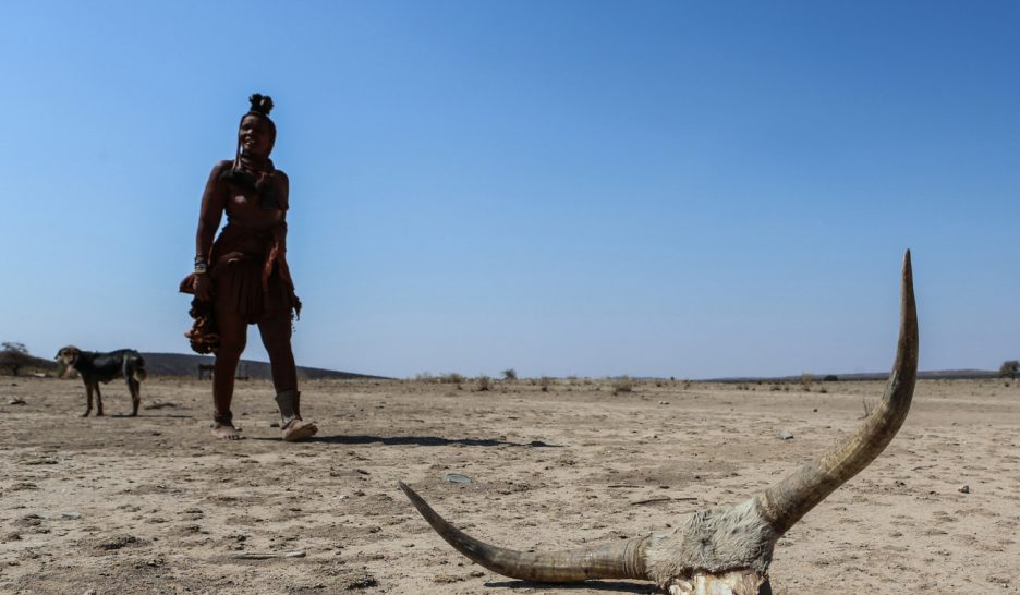 La famine menace 45 millions de personnes en Afrique australe