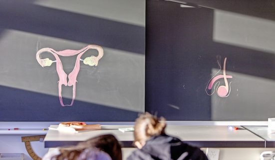 Le sexe, révélateur d’inégalités