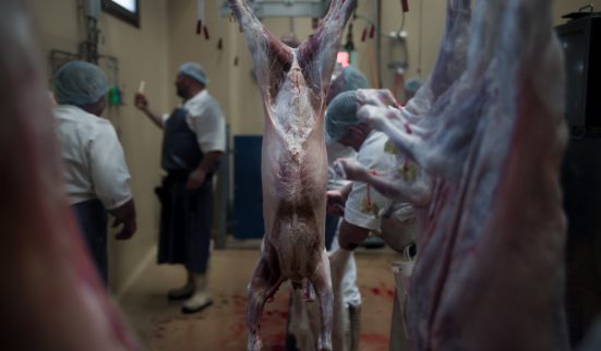 Manquements dans les abattoirs 1