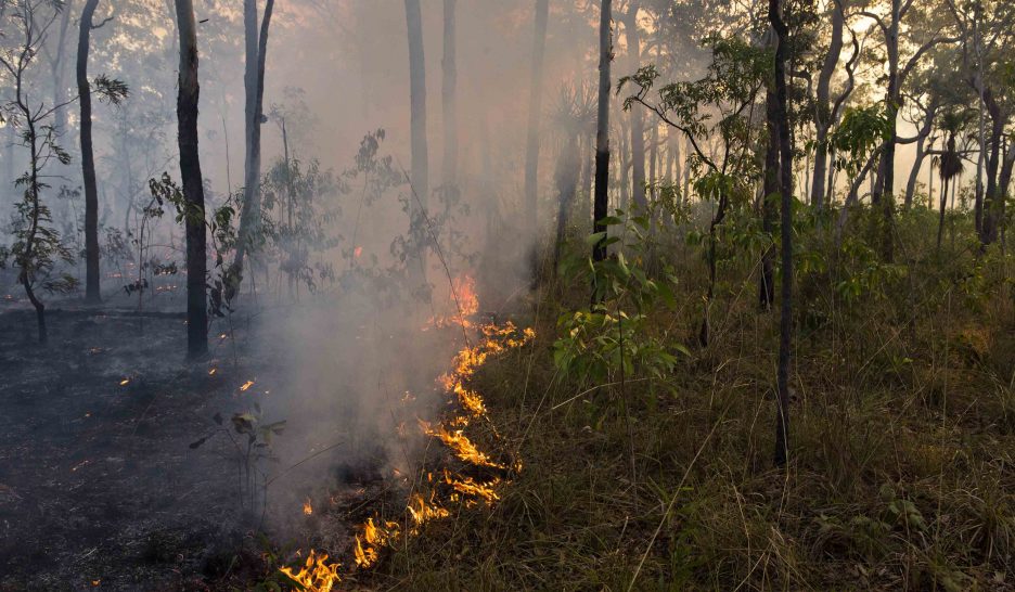 Savoir aborigène contre mégafeux 1
