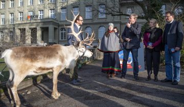 Un projet éolien menace des terres sami