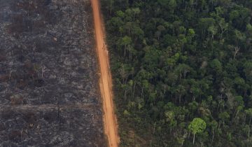 Une Suisse pyromane en Amazonie? 1