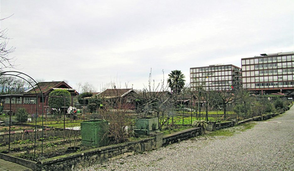 Course très féminine pour la mairie