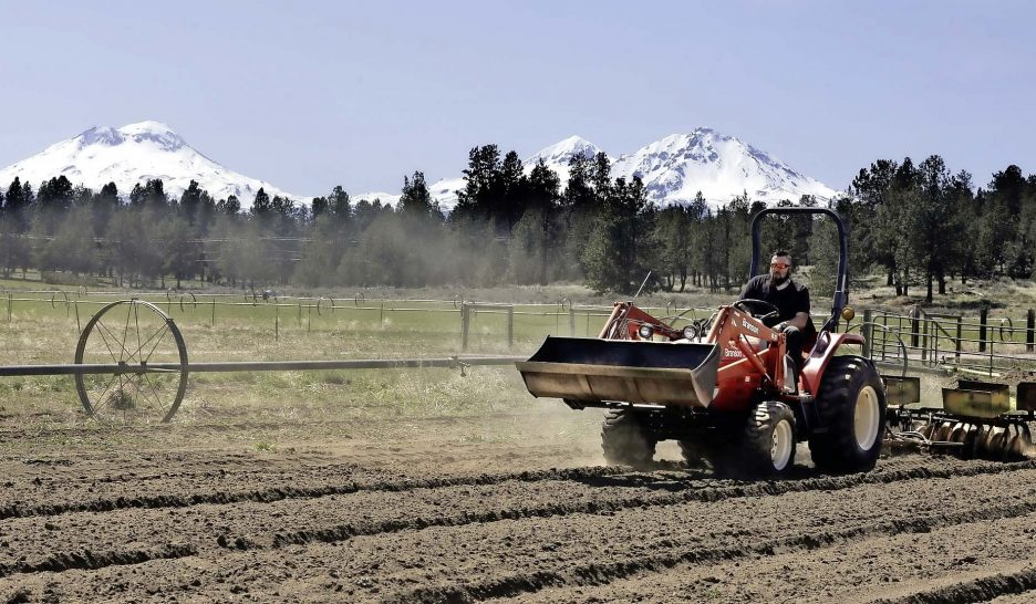 Dans la réalité américaine 1