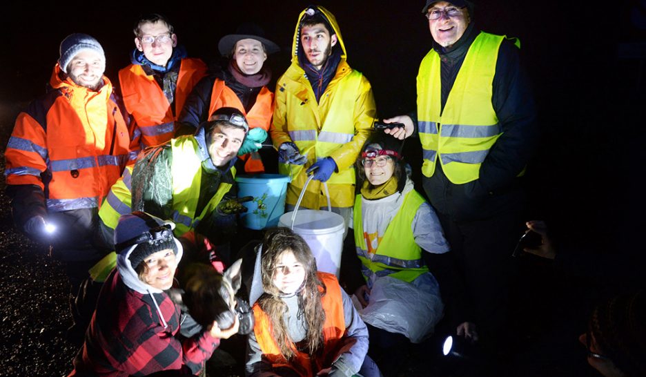 Ils sauvent les batraciens