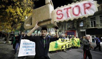 La dernière forêt vierge d’Europe