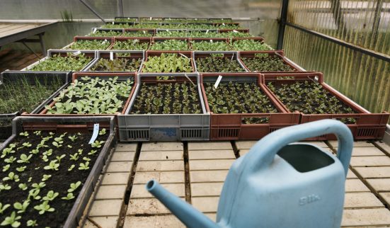 Le boom du terroir en ligne