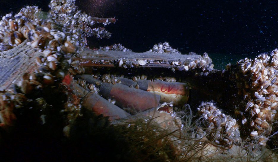 L’Etat va faire analyser les caisses  de munitions immergées