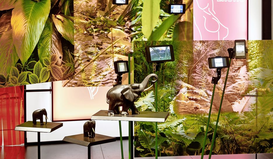 Voyages au bout de l’envie