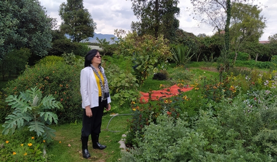 Guérir par la flore en Colombie 2