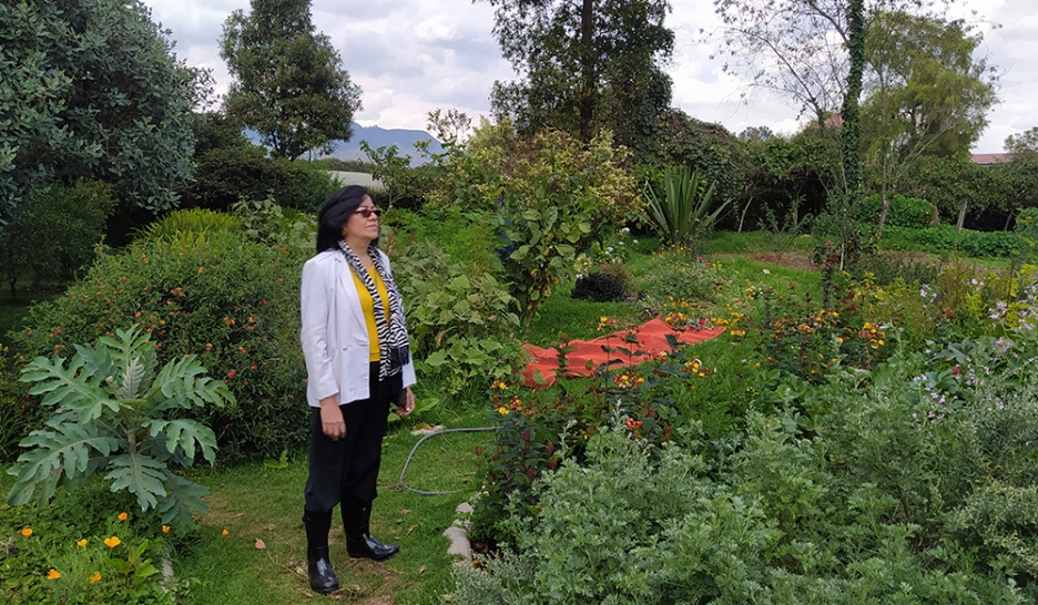 Guérir par la flore en Colombie 2