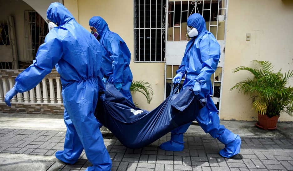 Le Correavirus dans la ligne de mire 1