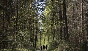 Le danger d'incendie de forêt augmente