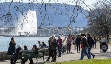 71% des résidents maîtrisent une seule langue