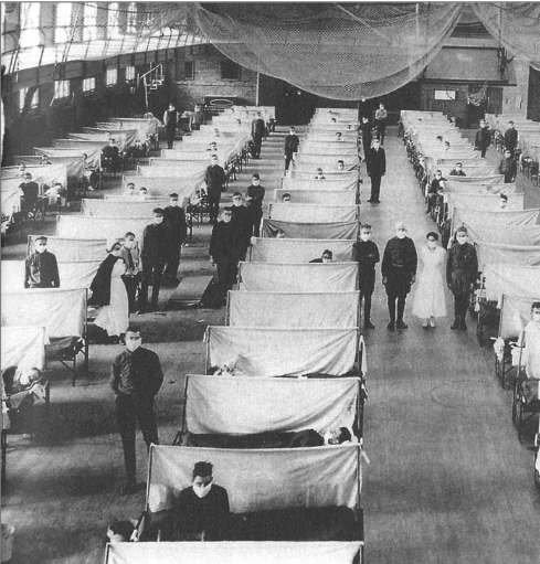 Grippe promenée conduit souvent au cimetière 1