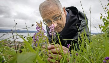 Le paradis des orchidées 3