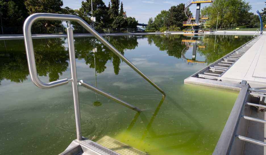 Pas de bains publics avant la mi-juin