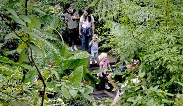 Les visiteurs sont enfin de retour à Papiliorama