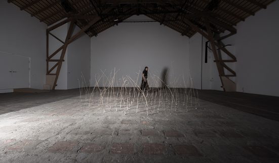 Rudy Decelière, la forme et le son