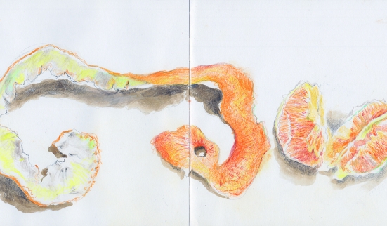 Du goût des langues