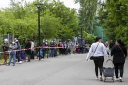 Un référendum bête et méchant