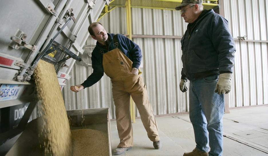 Soja durable cherche soutien