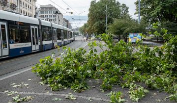 Violent orage - une nuit d’interventions pour les pompiers genevois